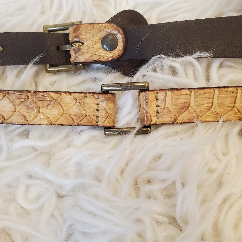 Roberto Cavalli| Womens Thin Python Belt Tan |Siz… - image 3